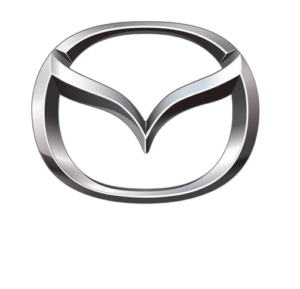 WhatsApp_Image_2022-03-17_at_00.10.58-removebg-preview-300x289